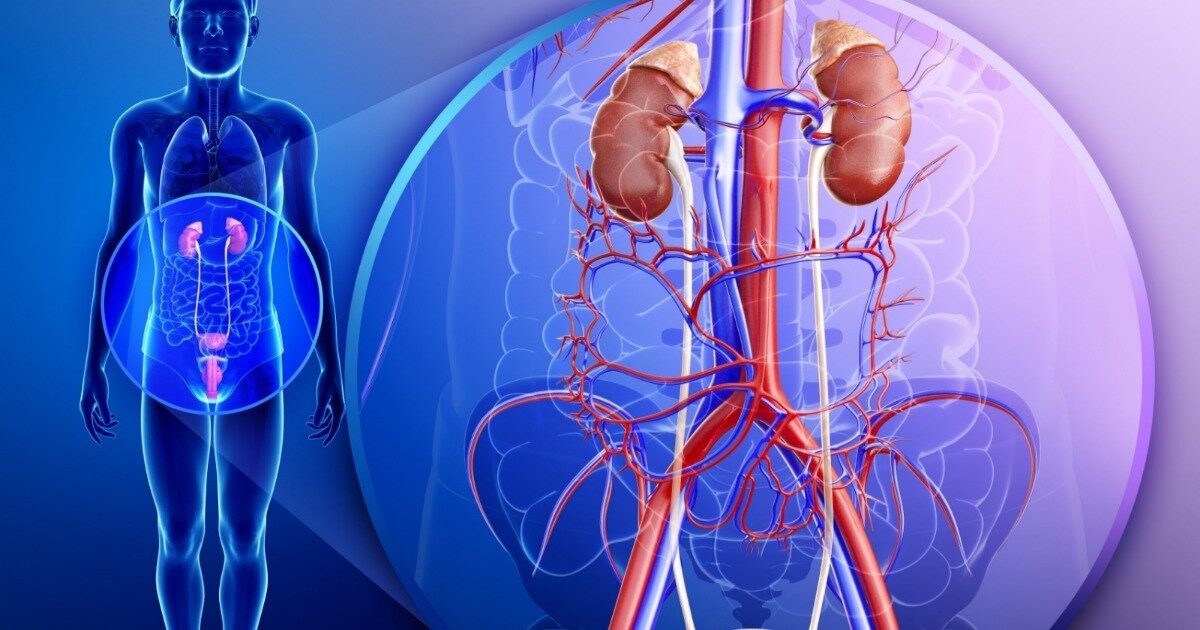 Relação da saúde endocrinológica e a insuficiência renal